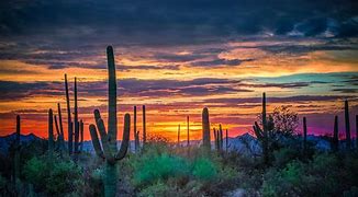 Image result for Arizona Desert Sunset Desktop