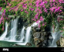 Image result for Beautiful Hawaii Waterfalls Flowers