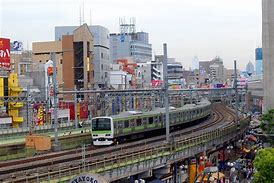Image result for Tokyo Train Shove into Train
