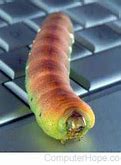 Image result for Who Created the First Computer Worm