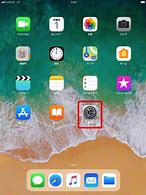 Image result for iPad Wi-Fi and Cellular