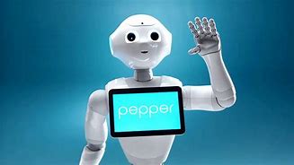 Image result for Robot Pepper Salad