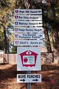 Image result for Apple Hill Northern CA