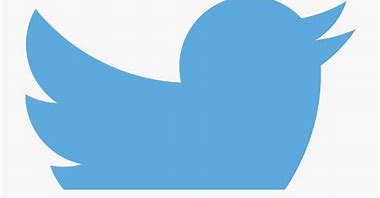 Image result for Twitter Logo Small