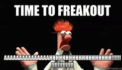Image result for Funny Freaking Out Memes
