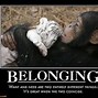 Image result for Quotes About Belonging and Identity