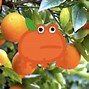Image result for Orange Frog Meme