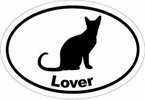 Image result for Cat Decals