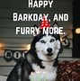 Image result for Funny Dog Birthday Memes