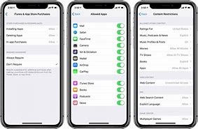Image result for iPhone Restrictions Settings
