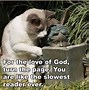 Image result for Funny Cat Momments Image