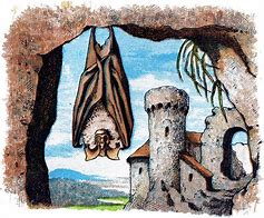 Image result for Sleeping Bat Art