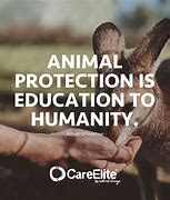 Image result for Animal Protection Quotes