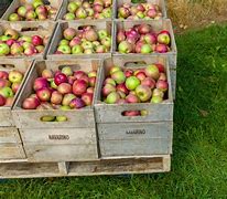 Image result for Film Production Apple Boxes