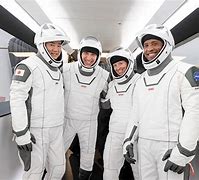 Image result for SpaceX Crew-1