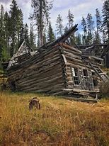 Image result for 1800s Pacific Northwest Log Cabin