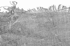 Image result for Ripped Fabric Texture