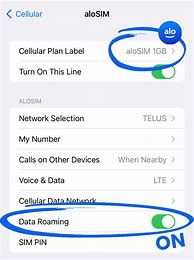 Image result for Setting & Activating iPhone SE