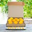 Image result for Organic Valencia Oranges