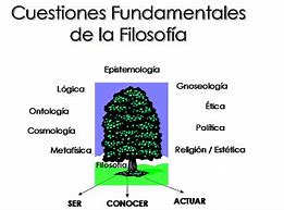 Image result for Definiciones De Filosofia