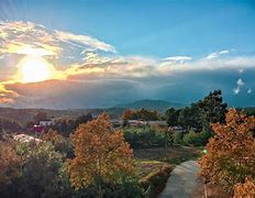 Image result for caboverdiano