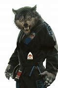 Image result for Wolf Karate