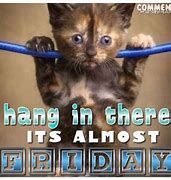 Image result for Hang in There It's Friday