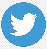 Image result for Twitter Flat Icon