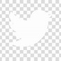 Image result for Twitter Logo with No Background