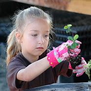 Image result for Gloves for Gardening