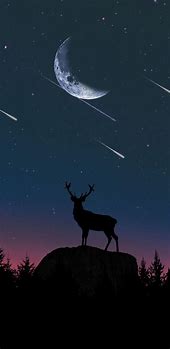 Image result for Galaxy Deer Wallpaper