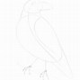 Image result for Raven Like Drawing