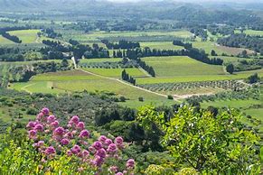 Image result for Avignon Vineyard