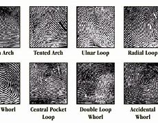 Image result for Fingerprint Diagram