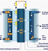 Image result for Types of Fuel Cells