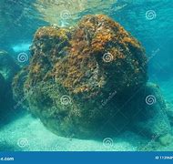 Image result for Underwater Sea Rocks