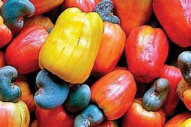 Image result for Paper Cashew Apple with A4