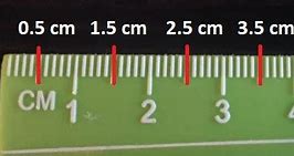 Image result for Measurement in Cm Worksheet