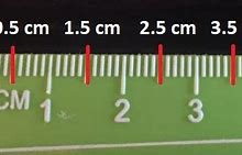 Image result for What Does 1.7 Cm Look Like