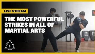 Image result for Martial Arts Strikes
