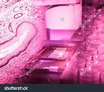Image result for Science Sheets