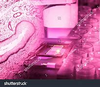 Image result for Science