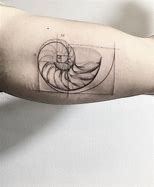 Image result for Golden Ratio Tattoo