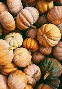 Image result for Pumpkin Spice Wallpaper