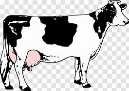 Image result for Beef Cow Clip Art Black and White