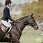 Image result for Horse Training Bits