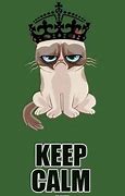 Image result for Star Wars Meme Grumpy Cat