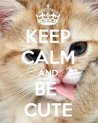 Image result for Keep Calm Quotes Cute