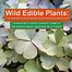 Image result for Wild Edible Plants in the Olympic National Forest