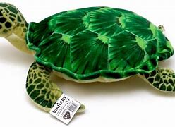 Image result for Sea Turtle Plush Toy